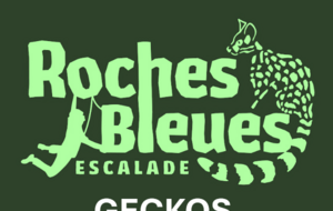 Geckos - Challenge Calvisson (horaires à définir)